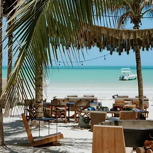 Hotel Casa Tortugas Petit Hotel&spa, Isla Holbox
